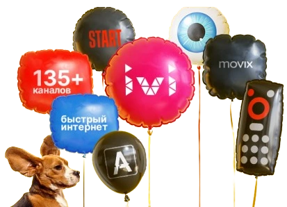 Услуги Дом.ру в село Тимофеевка